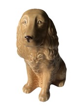 cocker spaniel for sale cocker spaniel for sale LONGHOPE