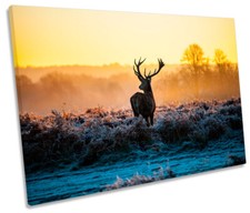 Stag deer sunset for sale  UK