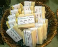 Travel shampoo bar for sale  Maple Grove