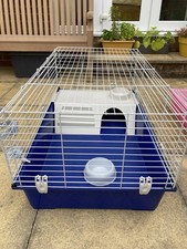 Small animal pet for sale  DORCHESTER