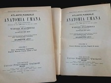 Medicina atlante manuale usato  Roma