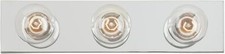 Westinghouse 66406 chrome for sale  Jamestown
