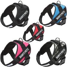 Bunty dog harness for sale  HYDE
