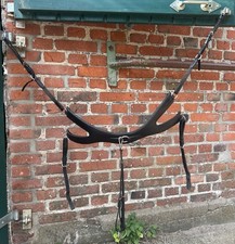 Passier vorderzeug auriga gebraucht kaufen  Preetz