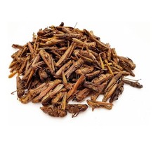 Herons dried grasshoppers for sale  WALLASEY