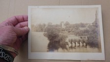 Old photograph eel for sale  ILFORD