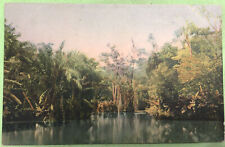 Mauritius grand bassin for sale  Hickory