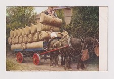 Hop picking goudhurst for sale  AYLESBURY
