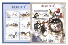 Mozambico. fauna. cani usato  Milano