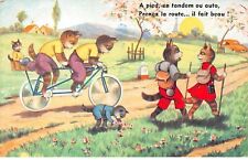 Chats 72362 pied d'occasion  France
