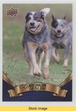 2018 upper deck for sale  Auburn