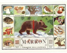 Touvay monique couleurs d'occasion  Expédié en Belgium