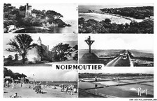 Acip13 0754 noirmoutier d'occasion  France