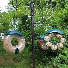 Pack hanging wild for sale  BELVEDERE