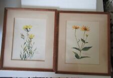 Pair watercolor botanical for sale  Claremont