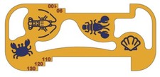 Ultimate welsh lobster for sale  WIMBORNE