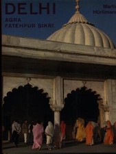 Delhi agra fatehpur usato  Italia