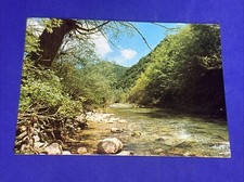 Ambienti del parco usato  Bari
