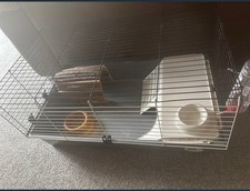 indoor guinea pig cage for sale indoor guinea pig cage for sale  LIPHOOK