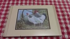 Mark chester chicken for sale  YORK