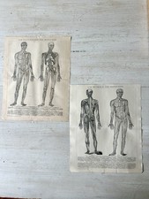 Lot anciennes lithographies d'occasion  Audruicq