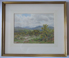 Morrish dartmoor mis for sale  BODMIN