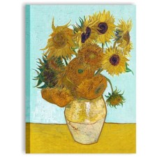 Van gogh vaso usato  Giarre