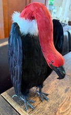 Grandin road vulture for sale  San Rafael