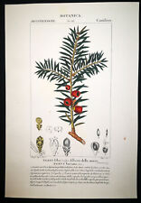 1831 turpin incisione usato  Urbino
