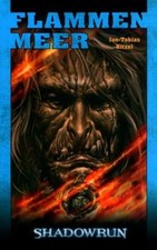 Flammenmeer shadowrun roman gebraucht kaufen  Bad Vilbel