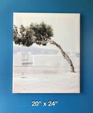 Canvas printed wall for sale  Danbury