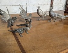 ornamental pheasants for sale ornamental pheasants for sale ACCRINGTON