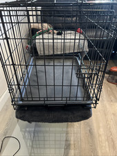 Crate puppy small for sale  Torrance