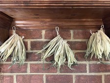 Three dried corn for sale  Chesapeake
