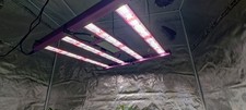Led grow lampe gebraucht kaufen  Crimmitschau