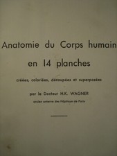 Anatomie corps humain d'occasion  Royat