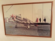 Midget mustang large for sale  LEICESTER