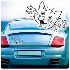 Katze kätzchen autoaufkleber gebraucht kaufen  Darmstadt