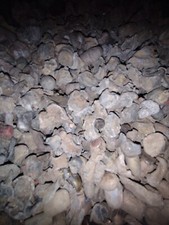 Lbs range lead for sale  King of Prussia
