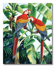 Two scarlet macaw for sale  Springdale
