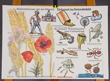 Poster lehrtafel plakat gebraucht kaufen  Berghülen