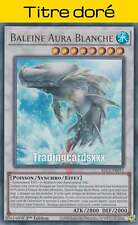 Baleine blanche td d'occasion  France