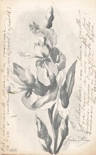 Illustree noir blanc d'occasion  Vasles