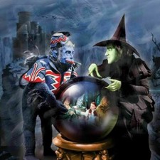 Wizard wicked witch for sale  USA