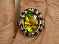 Tjc. canadian ammolite for sale  MOTHERWELL