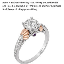 Enchanted disney fine for sale Enchanted disney fine for sale  Wilsonville