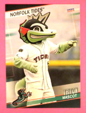 2024 Choice, Norfolk Tides, Mascote - TRITON comprar usado  Enviando para Brazil