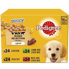 100g pedigree puppy for sale  SWANSEA