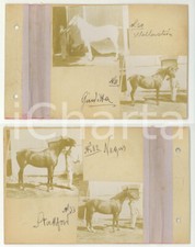 1904 lanzo intelvi usato  Milano