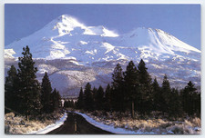 Vtg postcard mount for sale  Concord